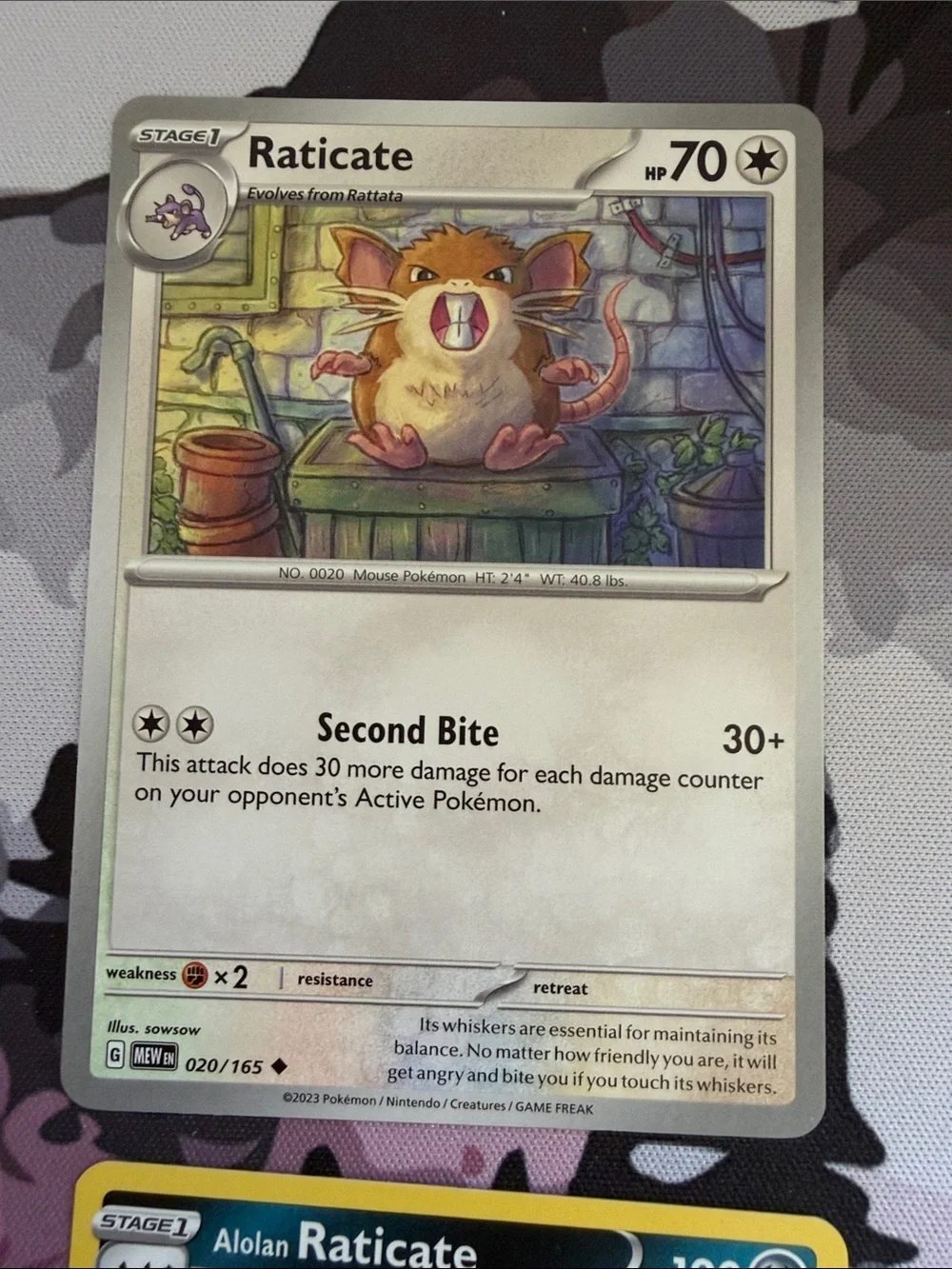 Rattata & Raticate Evolution Lot | Pokémon 151 + Pokémon GO | ✨5/$25✨